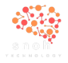 株式会社 Snoh（サノウ）